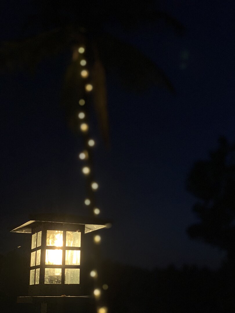 Evening Deck